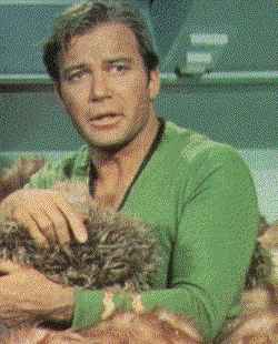 image\shatner1.jpg